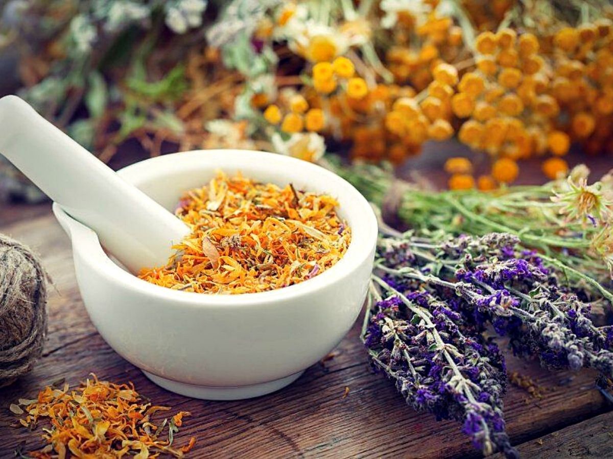 Floral herbs